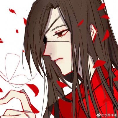 小猫不知道床被洗了